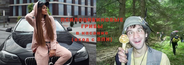 винт Медвежьегорск