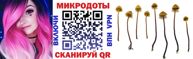 Купить где  Алексеевка  Псилоцибиновые грибы мицелий 